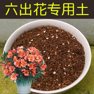 六出花专用土家用盆栽植物通用营养土酸性土椰糠泥炭土种植有机肥