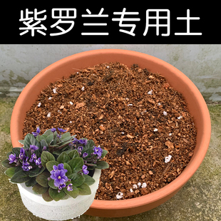 紫罗兰土专用土配方营养土盆栽花卉椰糠泥炭土壤种植有机花土花肥