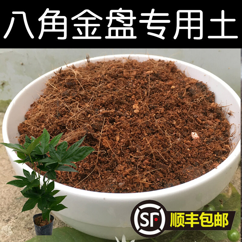 八角金盘土八角金盘专用土酸性土壤养花营养土家用盆栽通用型透气