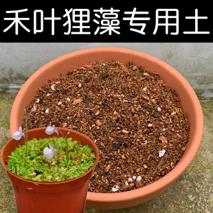 禾叶狸藻土专用土配方营养土盆栽椰糠泥炭土壤种植物有机花土花肥