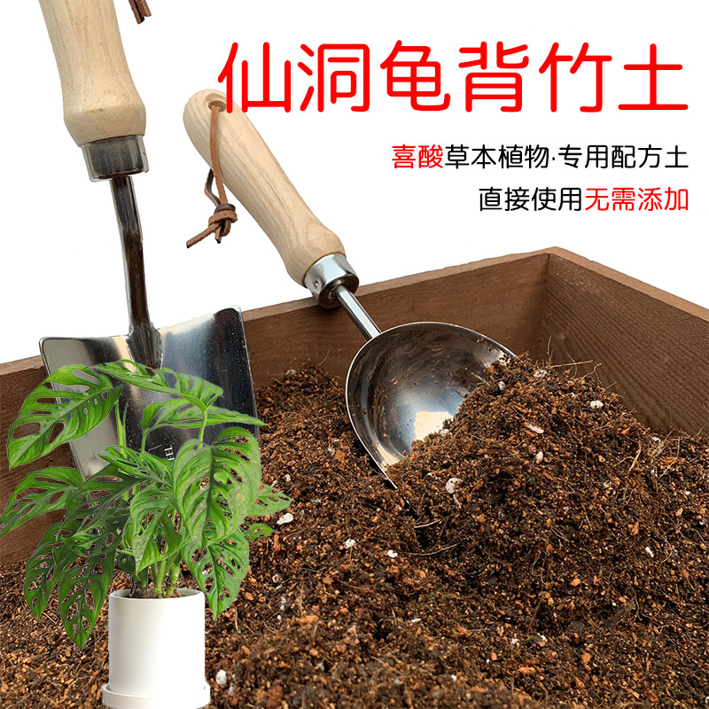 仙洞龟背竹土配方营养土顺丰包邮