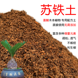苏铁土盆栽种植苏铁专用土酸性土壤沙性土花泥种植通用营养土花肥