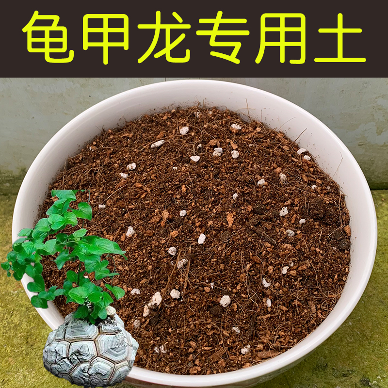 龟甲龙土配方营养土透气顺丰包邮