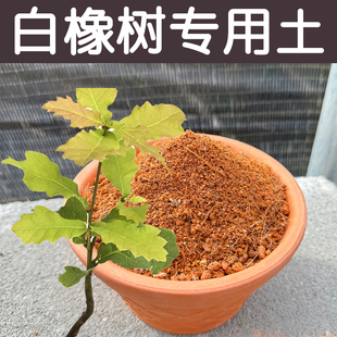 白橡树土酸性透气透水配方营养土专用土盆栽花卉绿植种植花泥花肥