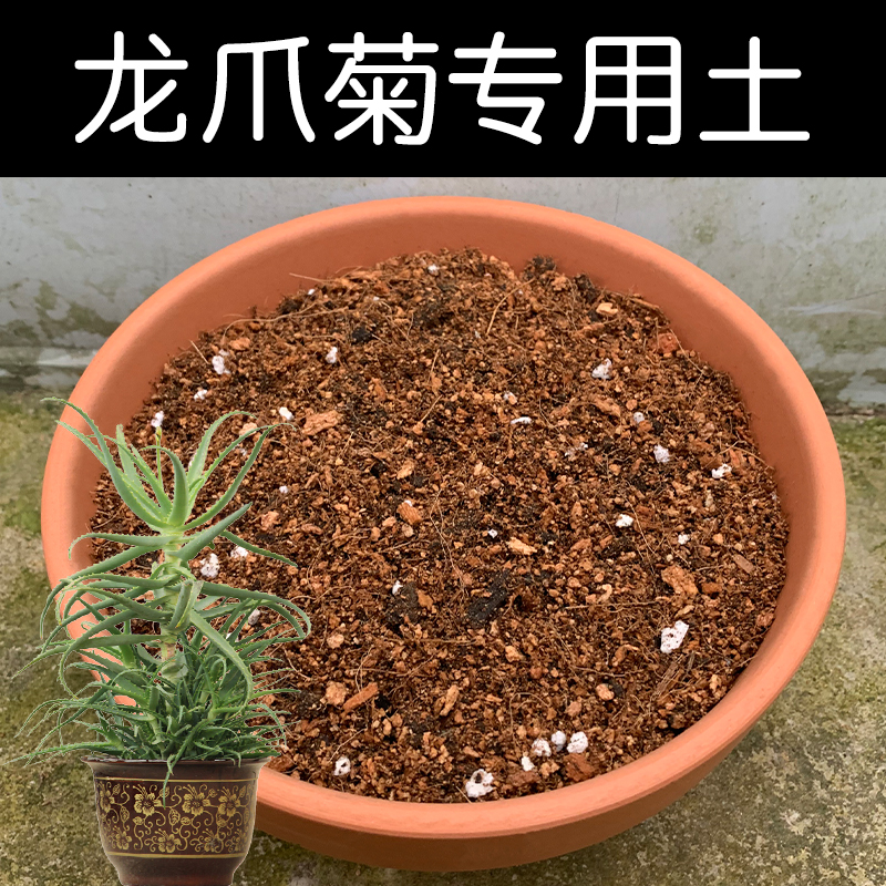 龙爪菊土配方营养土透气顺丰包邮