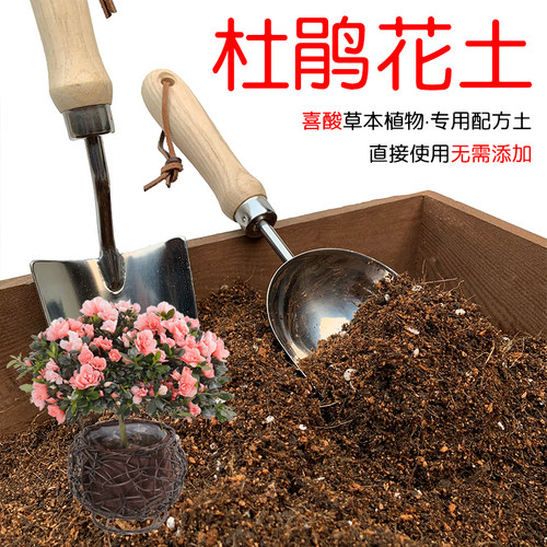 杜鹃花专用土酸性营养椰糠