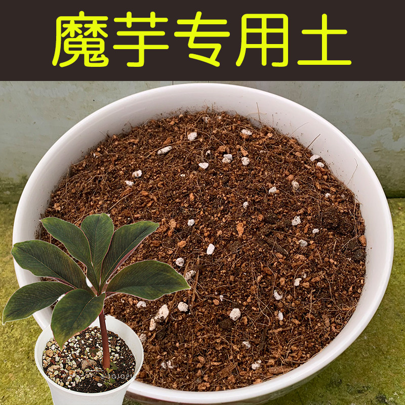 魔芋专用土家用盆栽植物通用型营养土酸性土椰糠泥炭土种植有机肥