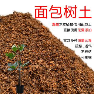 面包树土盆栽种植面包树专用土酸性土壤沙性土花泥通用营养土花肥