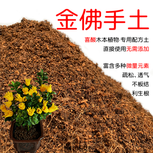 金佛手土盆栽种植金佛手专用土酸性土壤沙性土花泥通用营养土花肥