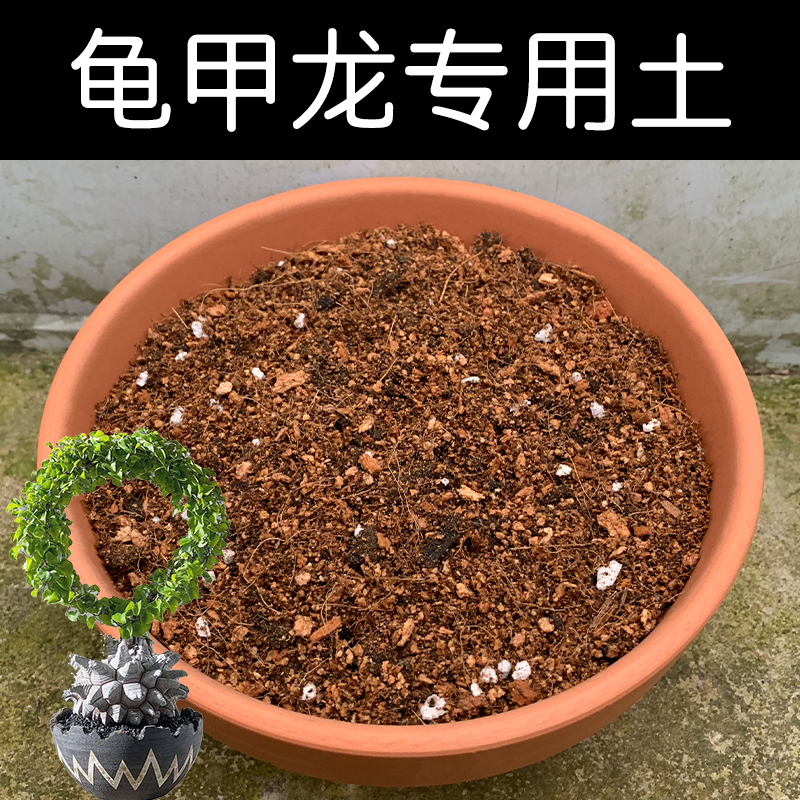 龟甲龙土配方营养土透气顺丰包邮