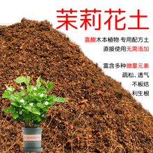 茉莉花土专用土家用盆栽种植酸性透气营养土沙性红土有机土壤花肥