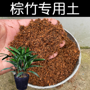 棕竹专用土营养土棕竹土有机酸性土壤家用盆栽植物种植土红土花肥