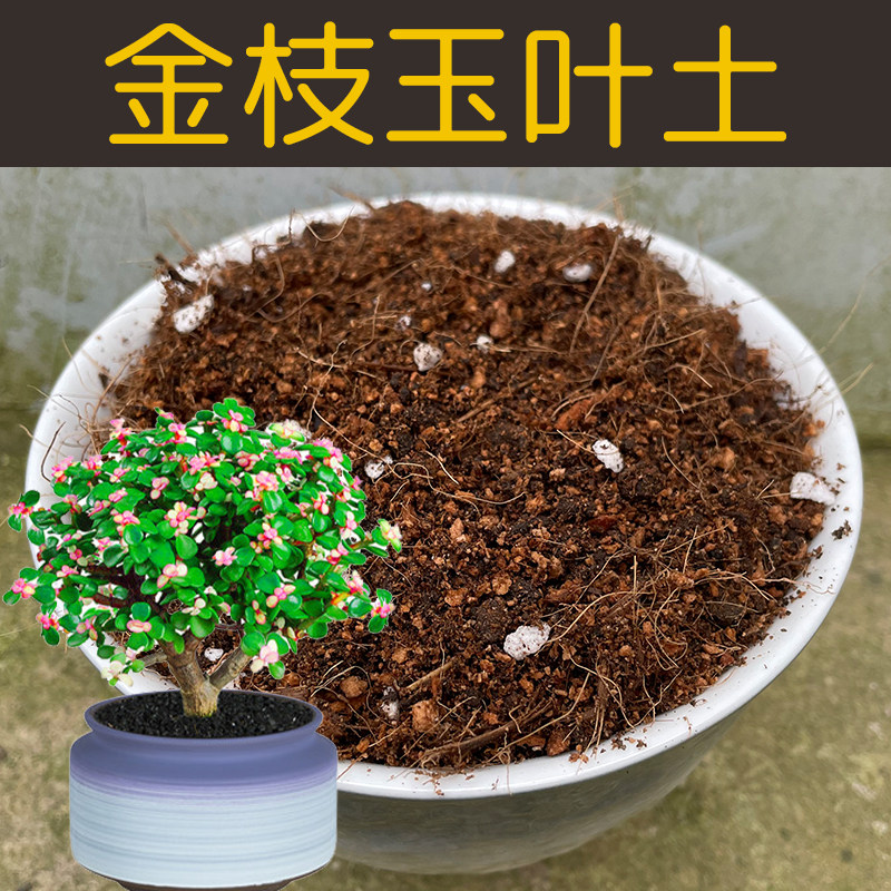 金枝玉叶专用土营养土有机椰糠泥炭土壤家用盆型栽植物种植土花肥