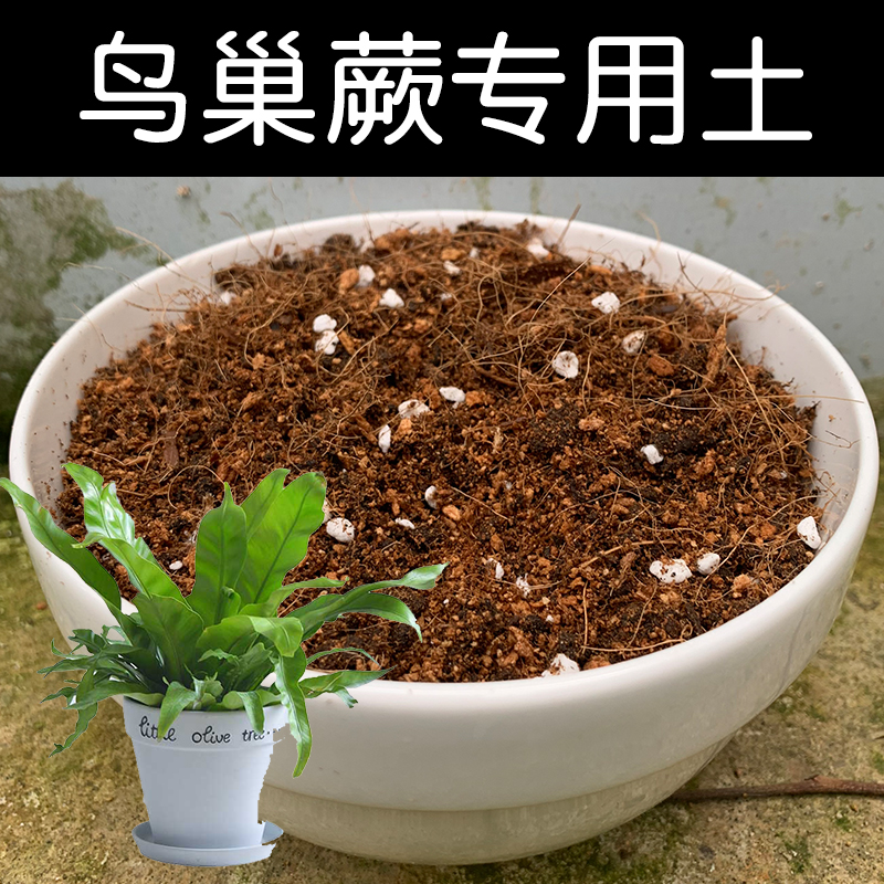 鸟巢蕨土配方营养土透气顺丰包邮
