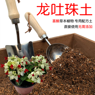 龙吐珠专用土营养土龙吐珠土有机椰糠泥炭土壤盆栽植物种植土花肥