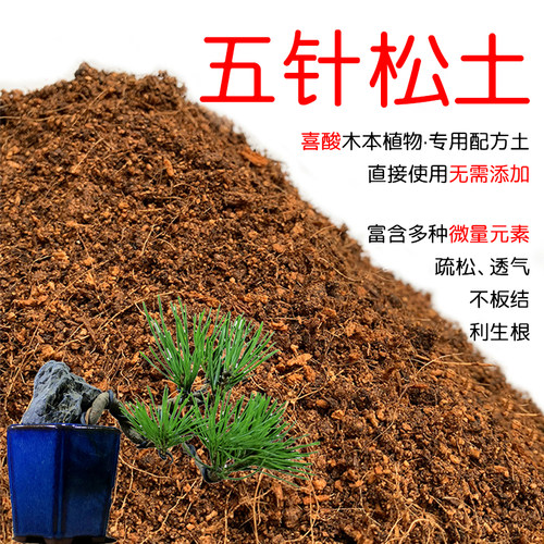 五针松土配方营养土透气顺丰包邮