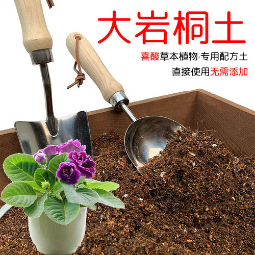 大岩桐土配方营养土透气顺丰包邮