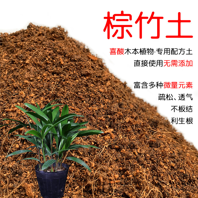棕竹土盆栽种植棕竹专用土酸性土壤沙性土花泥种植通用营养土花肥,鲜花速递/花卉仿真/绿植园艺,介质/营养土,淘宝优惠券,粉丝福利购,淘宝优惠卷