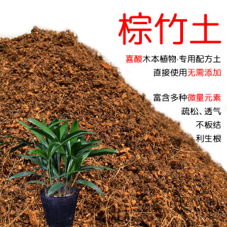 棕竹土盆栽种植棕竹专用土酸性土壤沙性土花泥种植通用营养土花肥