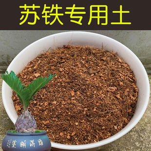 苏铁专用土酸性土配方营养土盆栽花卉绿植盆景红土壤有机花土花肥
