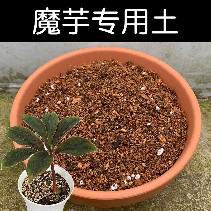 魔芋土专用土配方营养土盆栽花卉椰糠泥炭土壤种植物有机花土花肥