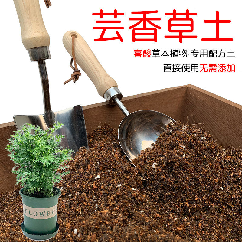 芸香草土盆栽种植芸香草专用土酸性土椰糠泥炭土壤通用营养土花肥