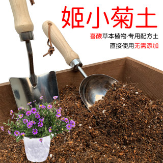 姬小菊土盆栽种植姬小菊专用土酸性土椰糠泥炭土壤通用营养土花肥