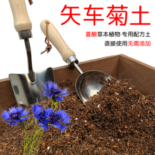 矢车菊土盆栽种植矢车菊专用土酸性土椰糠泥炭土壤通用营养土花肥