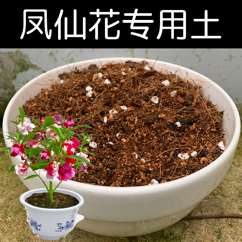 凤仙花盆栽种植专用土