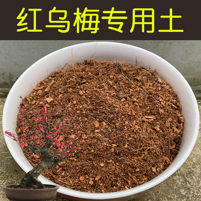 红乌梅专用土酸性配方营养土盆栽花卉绿植盆景红土壤有机花土花肥