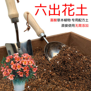六出花土盆栽种植六出花专用土酸性土椰糠泥炭土壤通用营养土花肥
