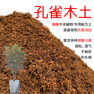 孔雀木土盆栽种植孔雀木专用土酸性土壤沙性土花泥通用营养土花肥
