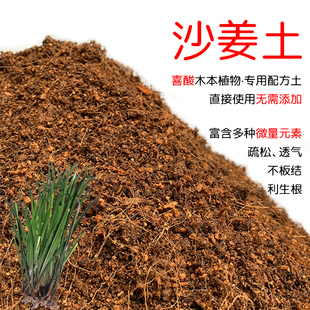 沙姜土盆栽种植沙姜专用土酸性土壤沙性土花泥种植通用营养土花肥