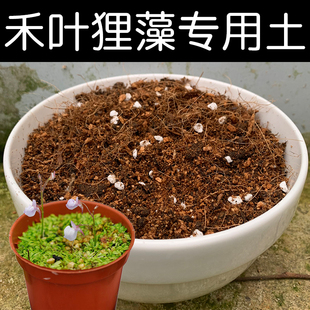 禾叶狸藻土禾叶狸藻专用土酸性土椰糠泥炭土壤盆栽通用营养土花肥