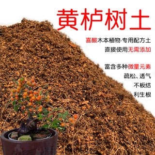 黄栌树土盆栽种植黄栌树专用土酸性土壤沙性土花泥通用营养土花肥