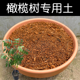 橄榄树专用土配方营养土盆栽橄榄树土酸性土家用种植土壤花泥花肥