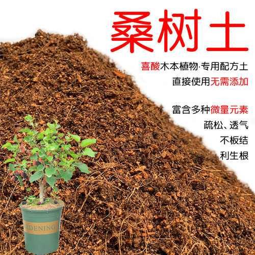 桑树土配方营养土透气顺丰包邮