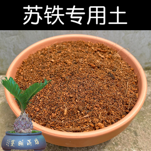 苏铁专用土配方营养土盆栽苏铁土酸性土家用盆栽种植土壤花泥花肥