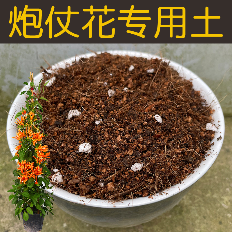 炮仗花专用土营养土炮仗花土有机椰糠泥炭土壤盆栽植物种植土花肥