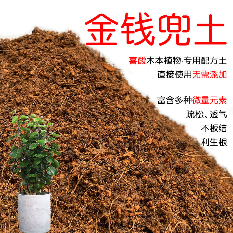 金钱兜土盆栽种植金钱兜专用土酸性土壤沙性土花泥通用营养土花肥,鲜花速递/花卉仿真/绿植园艺,介质/营养土,淘宝优惠券,粉丝福利购,淘宝优惠卷