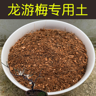 龙游梅专用土酸性配方营养土盆栽花卉绿植盆景红土壤有机花土花肥