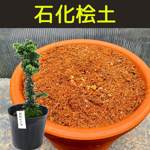 石化桧土酸性透气透水配方营养专用土盆栽花卉绿植种植土花泥花肥