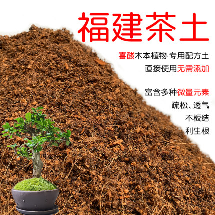 福建茶土盆栽种植福建茶专用土酸性土壤沙性土花泥通用营养土花肥