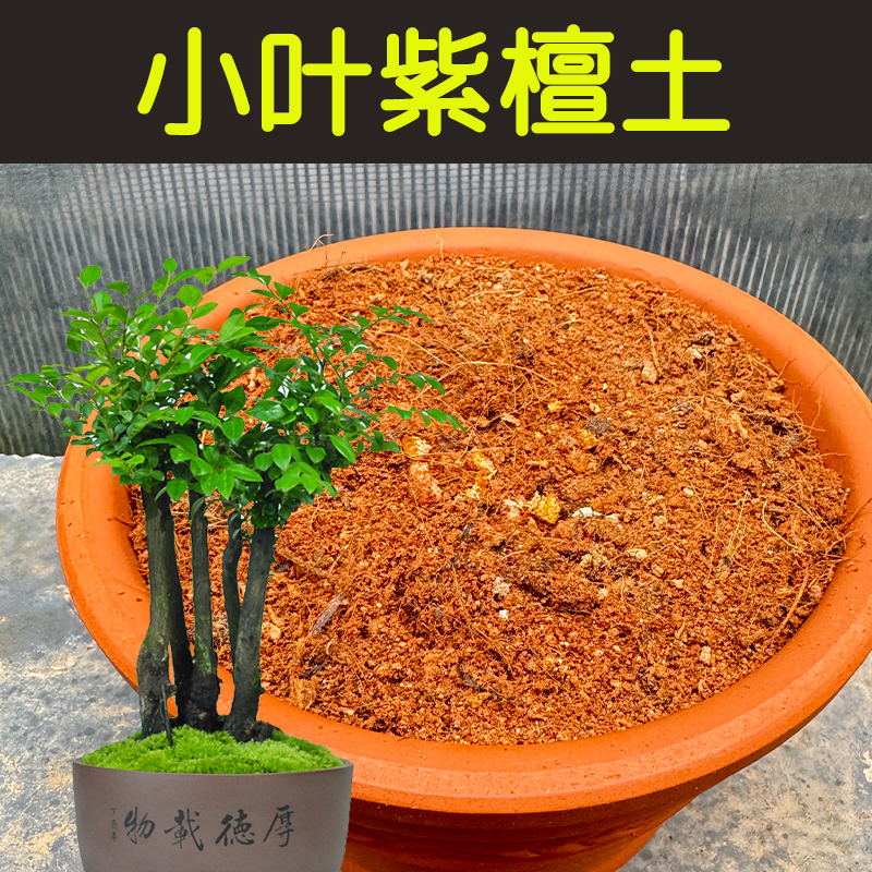 小叶紫檀透气配方营养土顺丰包邮