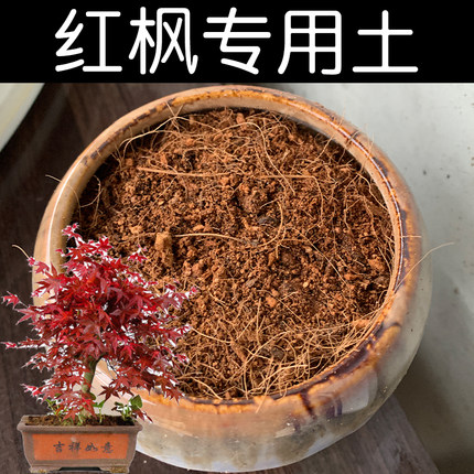 红枫土红枫专用土酸性土壤养花营养土家用盆栽枫树通用型透气花肥