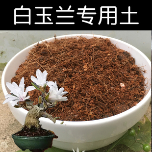 白玉兰土白玉兰专用土酸性土壤养花营养土家用盆栽通用型透气花肥