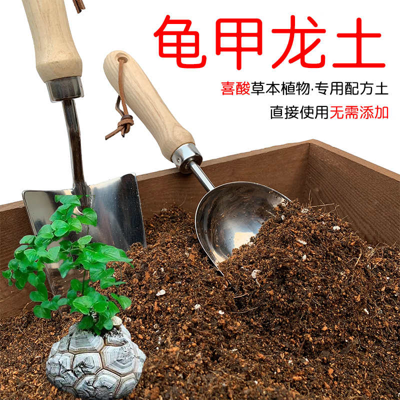 龟甲龙土配方营养土透气顺丰包邮