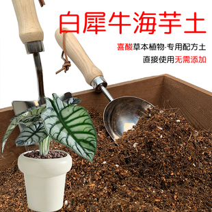 白犀牛海芋土盆栽种植专用土酸性土椰糠泥炭土壤通用型营养土花肥