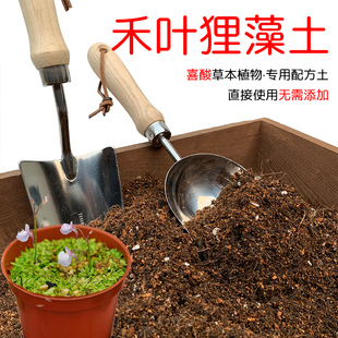 禾叶狸藻土盆栽种植专用土酸性土椰糠泥炭土壤通用种植营养土花肥