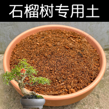 石榴树专用土配方营养土盆栽石榴树土酸性土家用种植土壤花泥花肥
